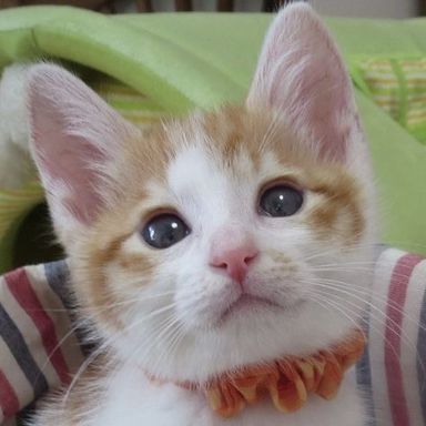 名無しちゃんの写真