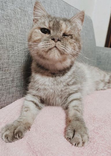 リヨンの写真