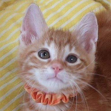 名無しちゃんの写真