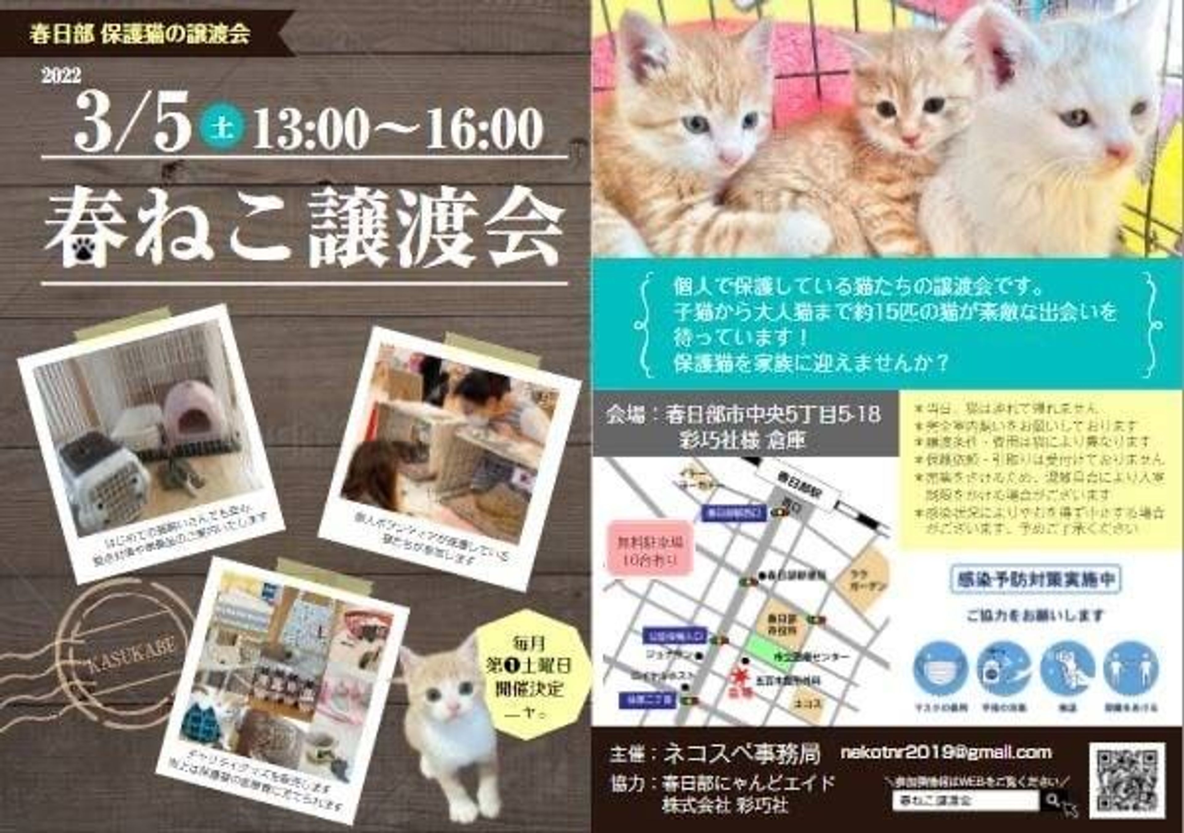 pet-image-5