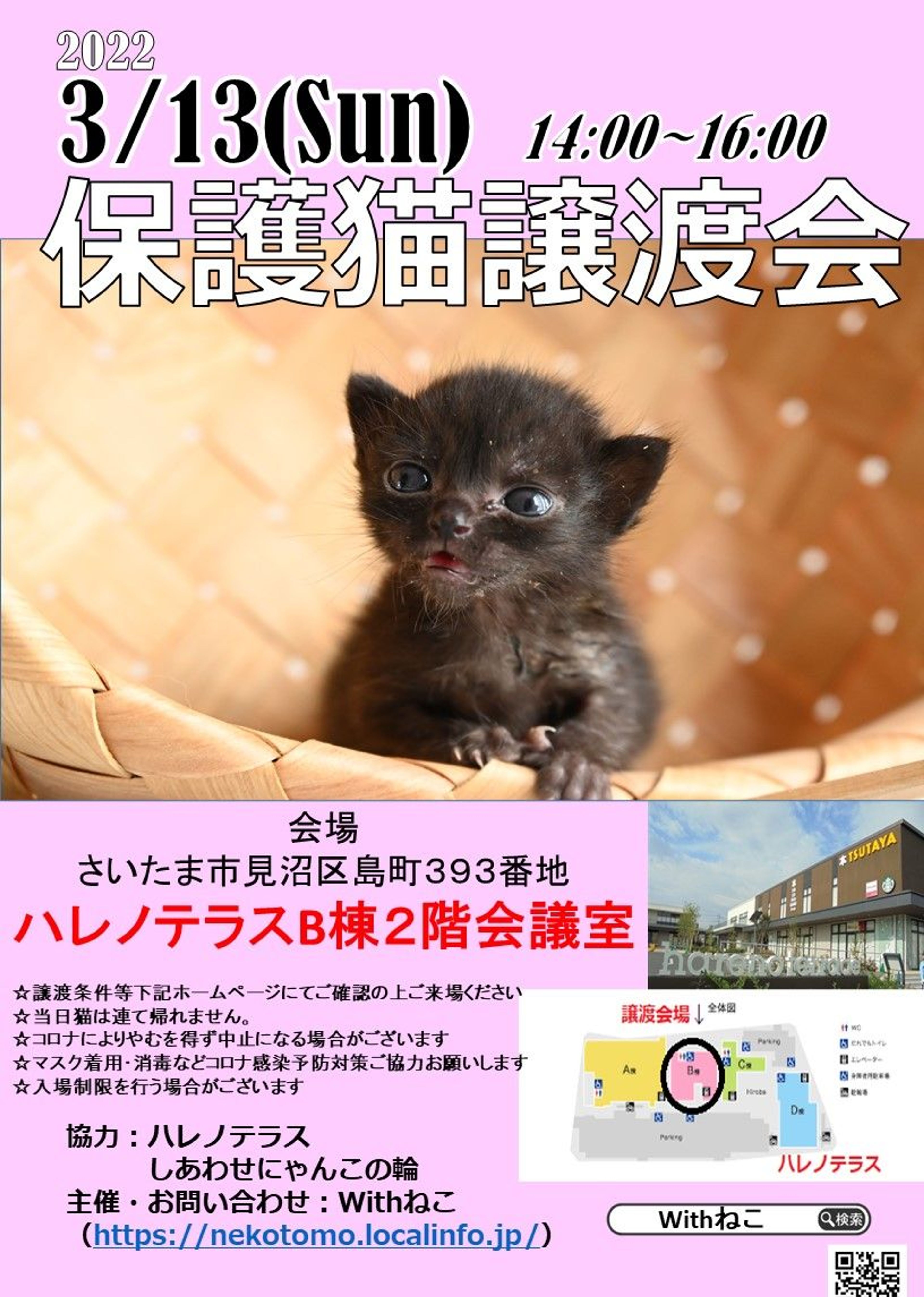 pet-image-6