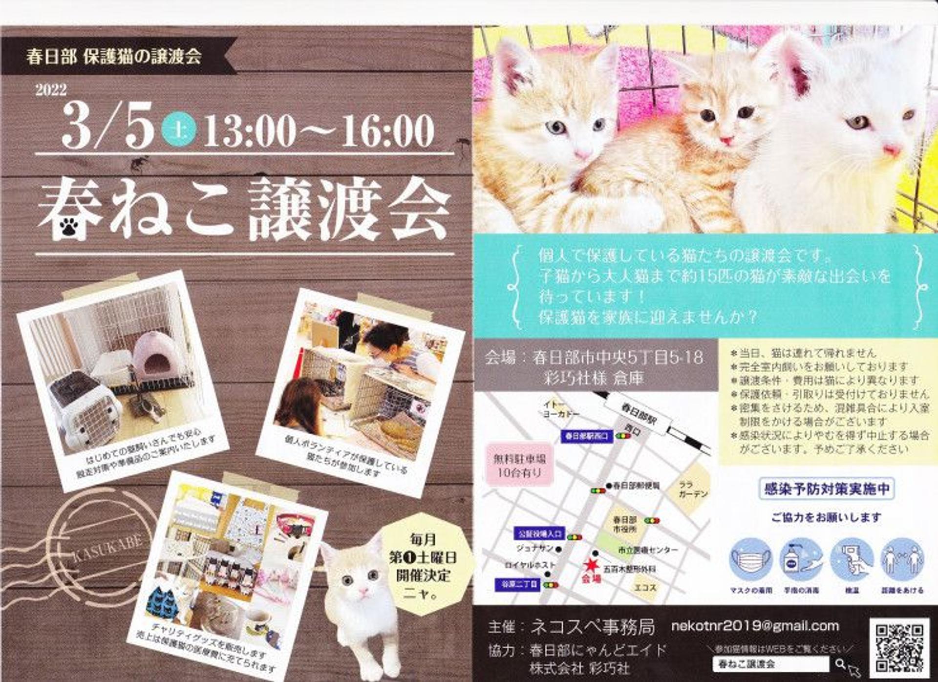pet-image-5