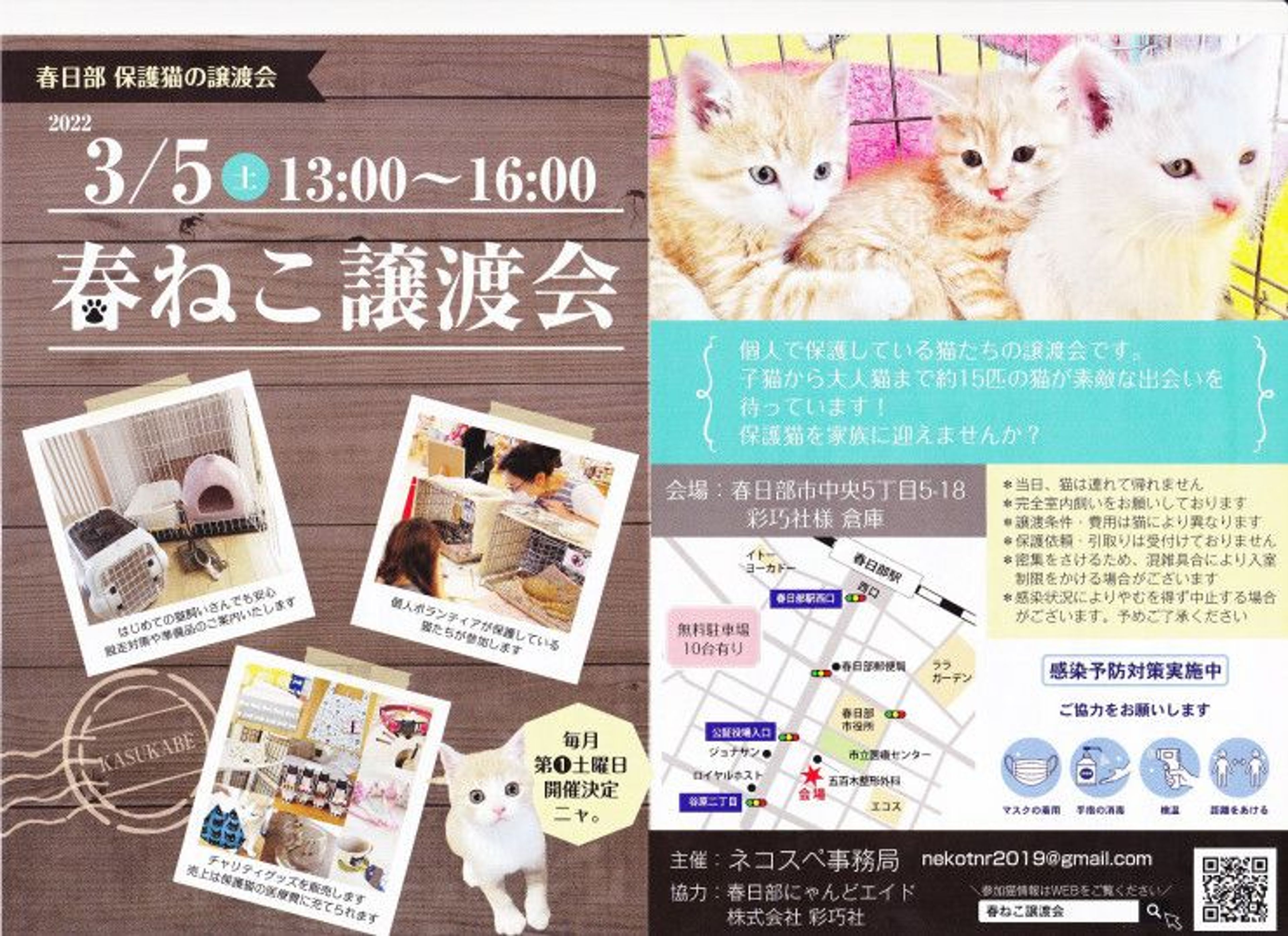 pet-image-5