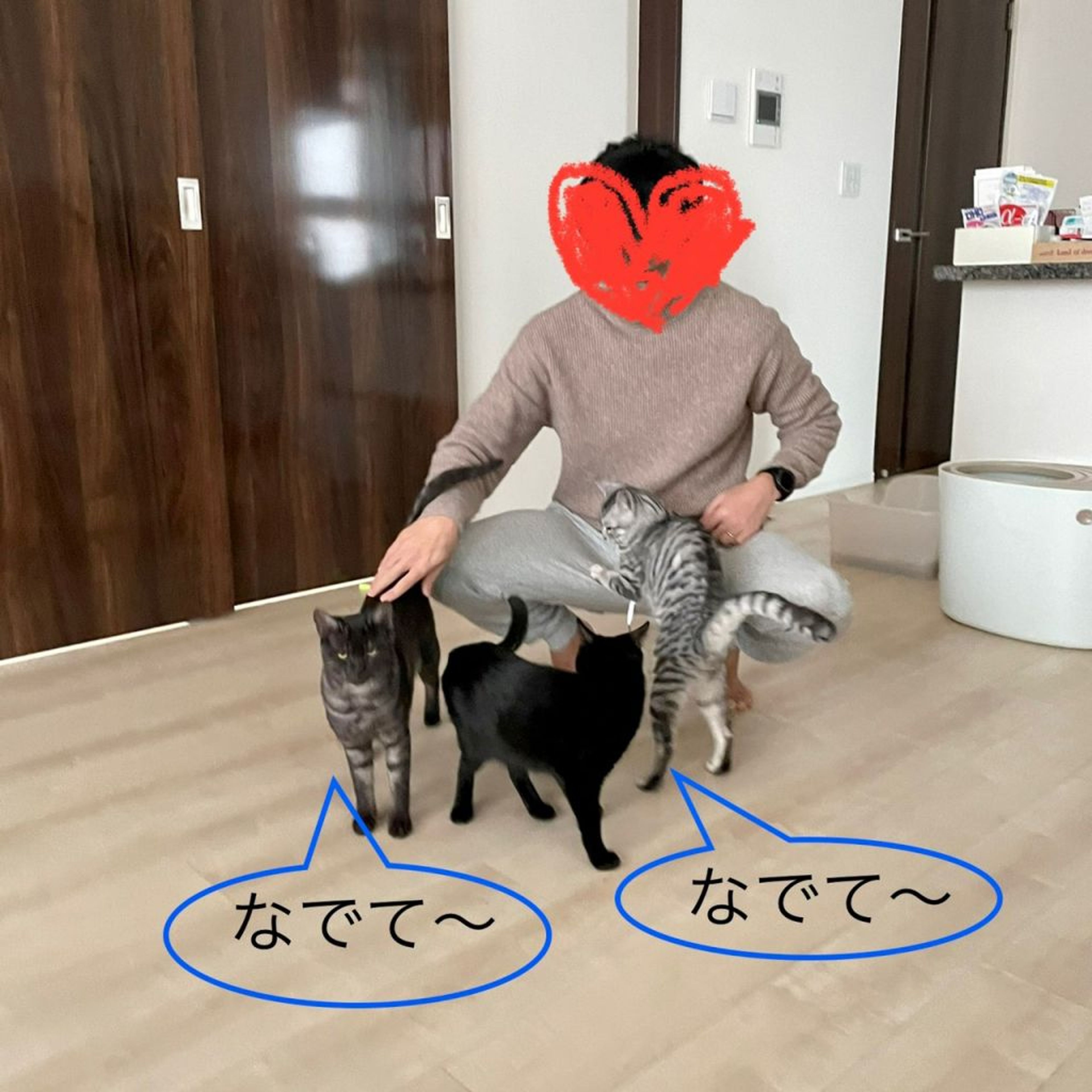 pet-image-9