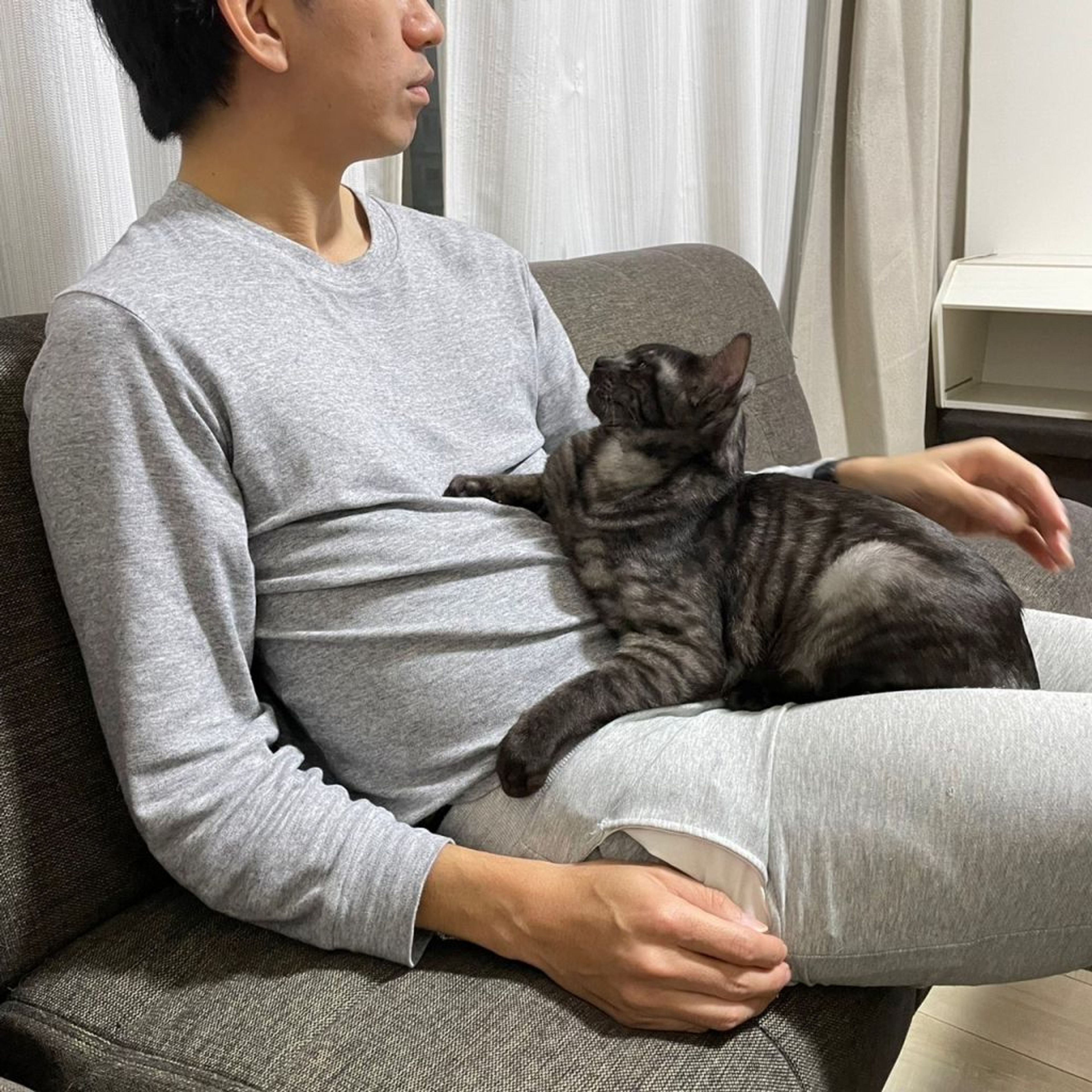 pet-image-3