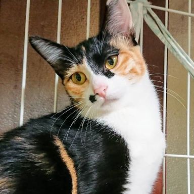 名無しちゃんの写真
