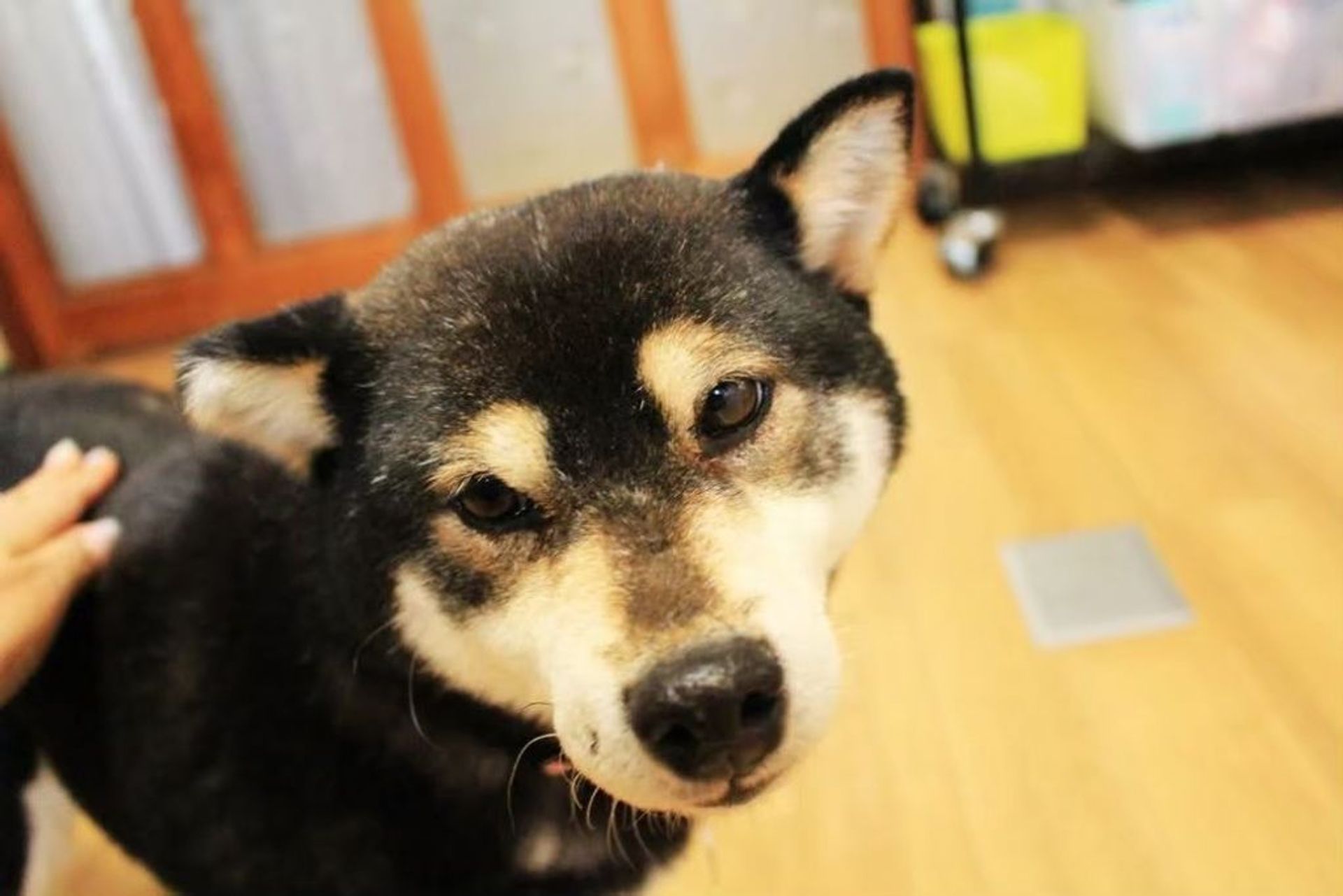 thumbnail-6