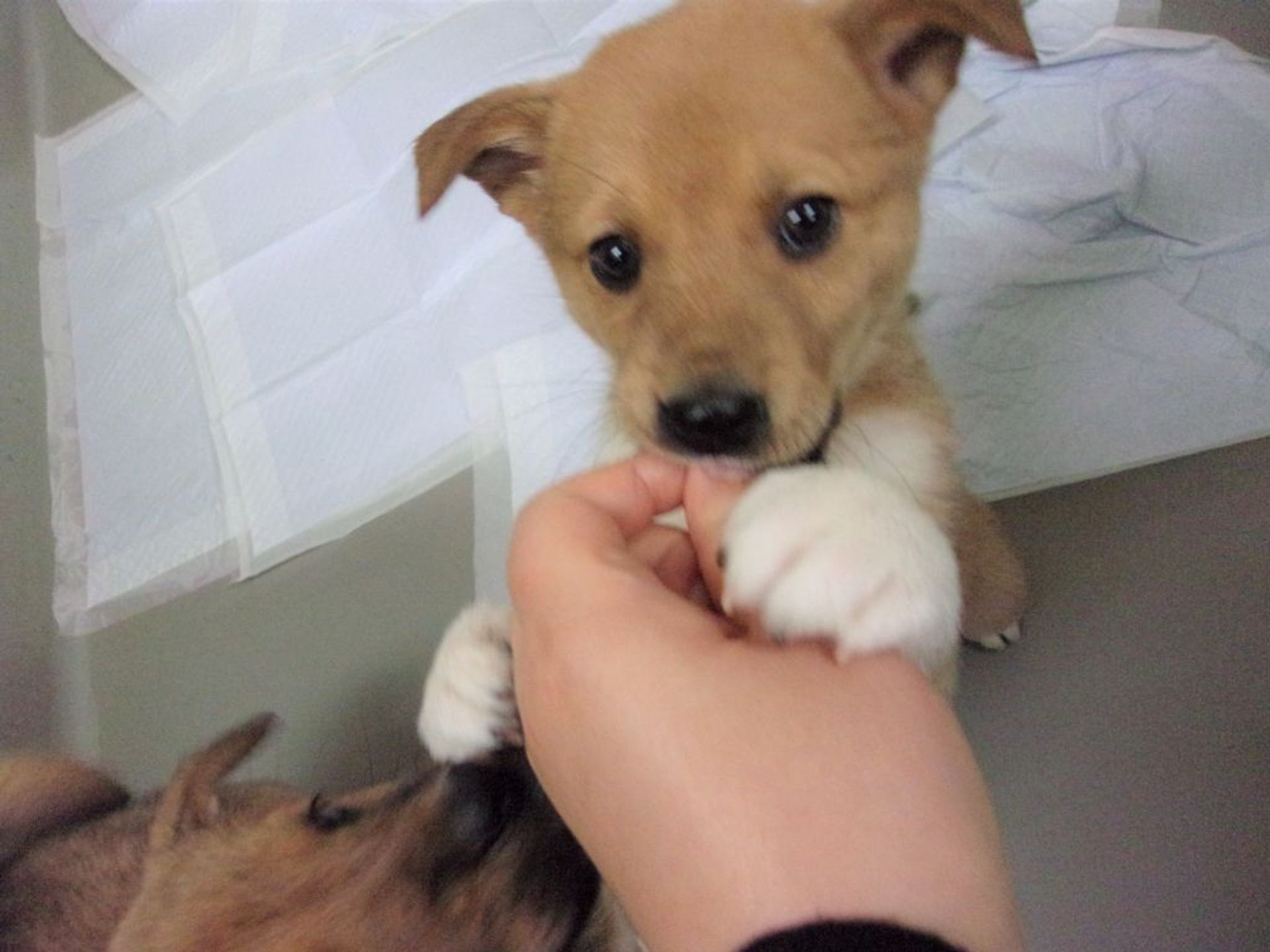 thumbnail-4