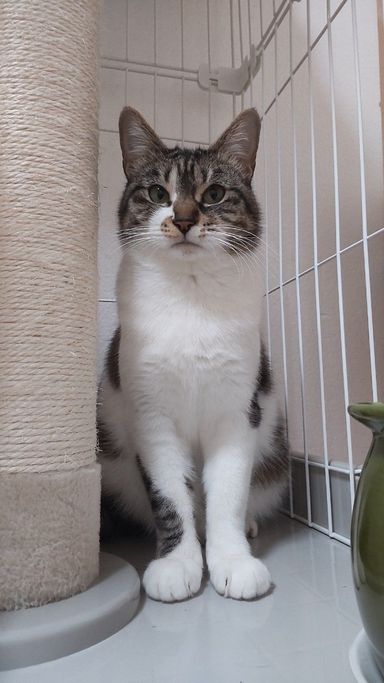 サホの写真