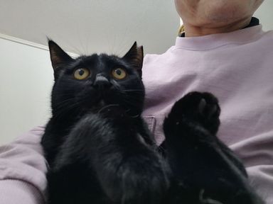 ダイの写真