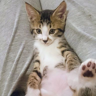名無しちゃんの写真
