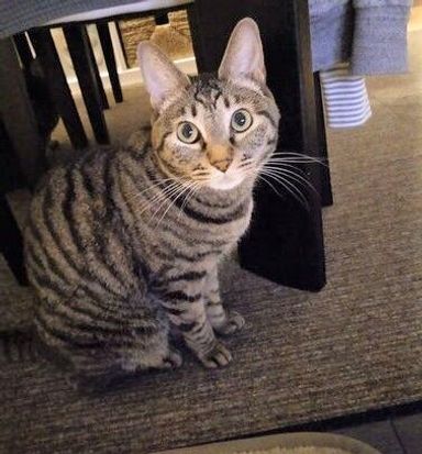 ココの写真