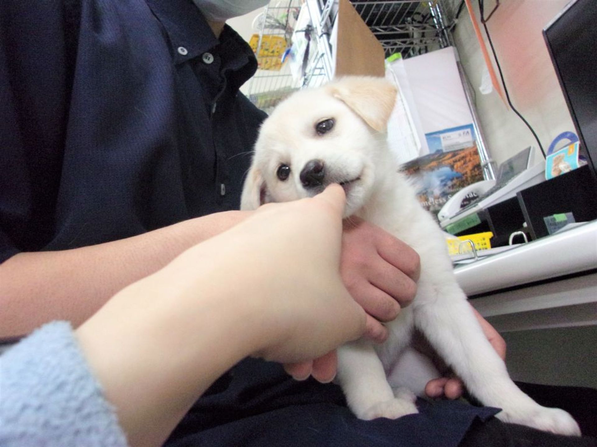 thumbnail-5
