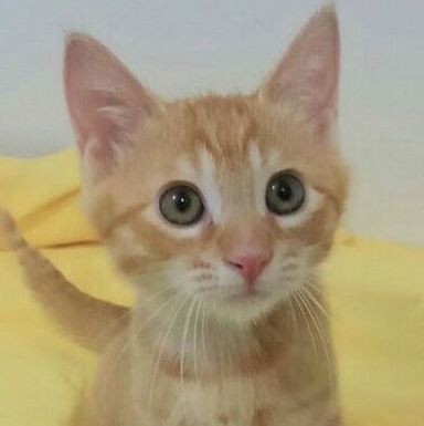 名無しちゃんの写真