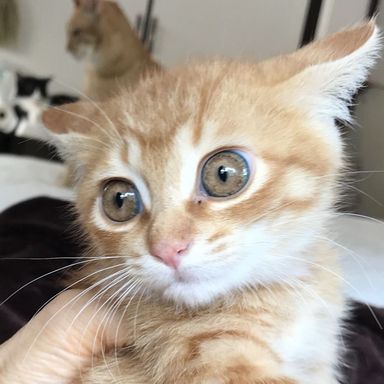 名無しちゃんの写真