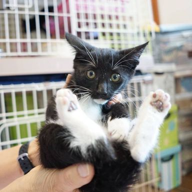 名無しちゃんの写真