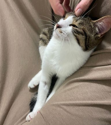 みうの写真