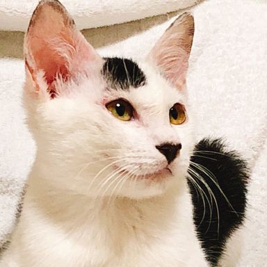 名無しちゃんの写真