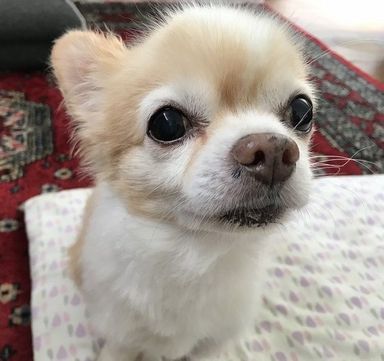 名無しちゃん