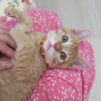 名無しちゃんの写真