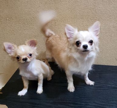 左→マナ　右→マリナ