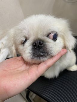 thumb-0