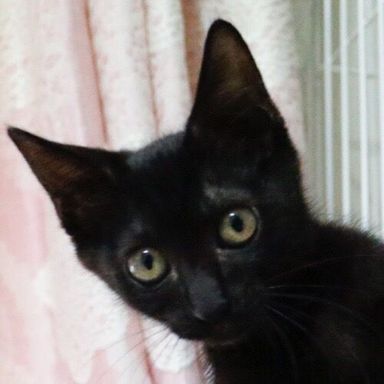 名無しちゃんの写真