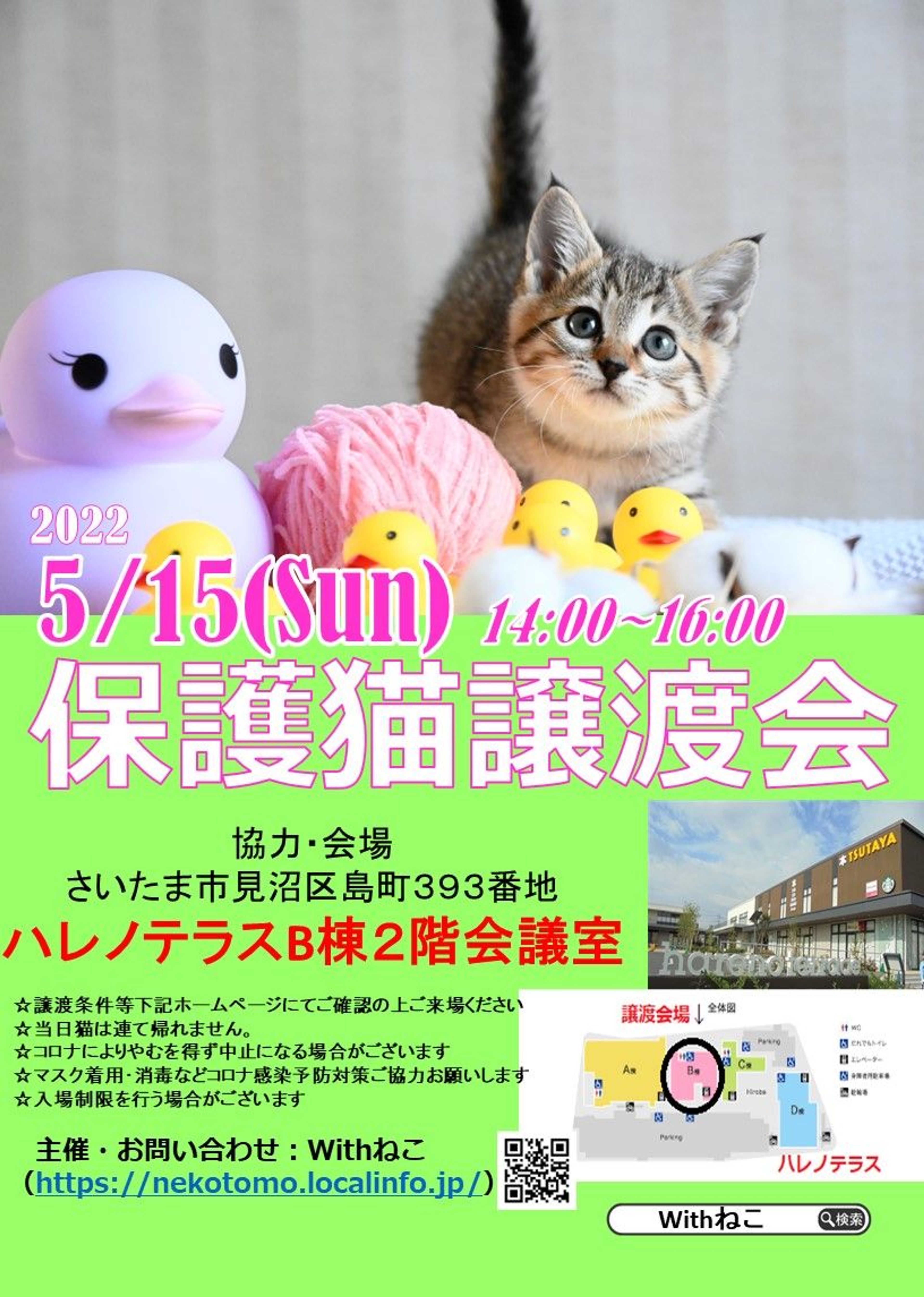 pet-image-7