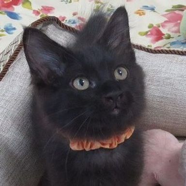 名無しちゃんの写真