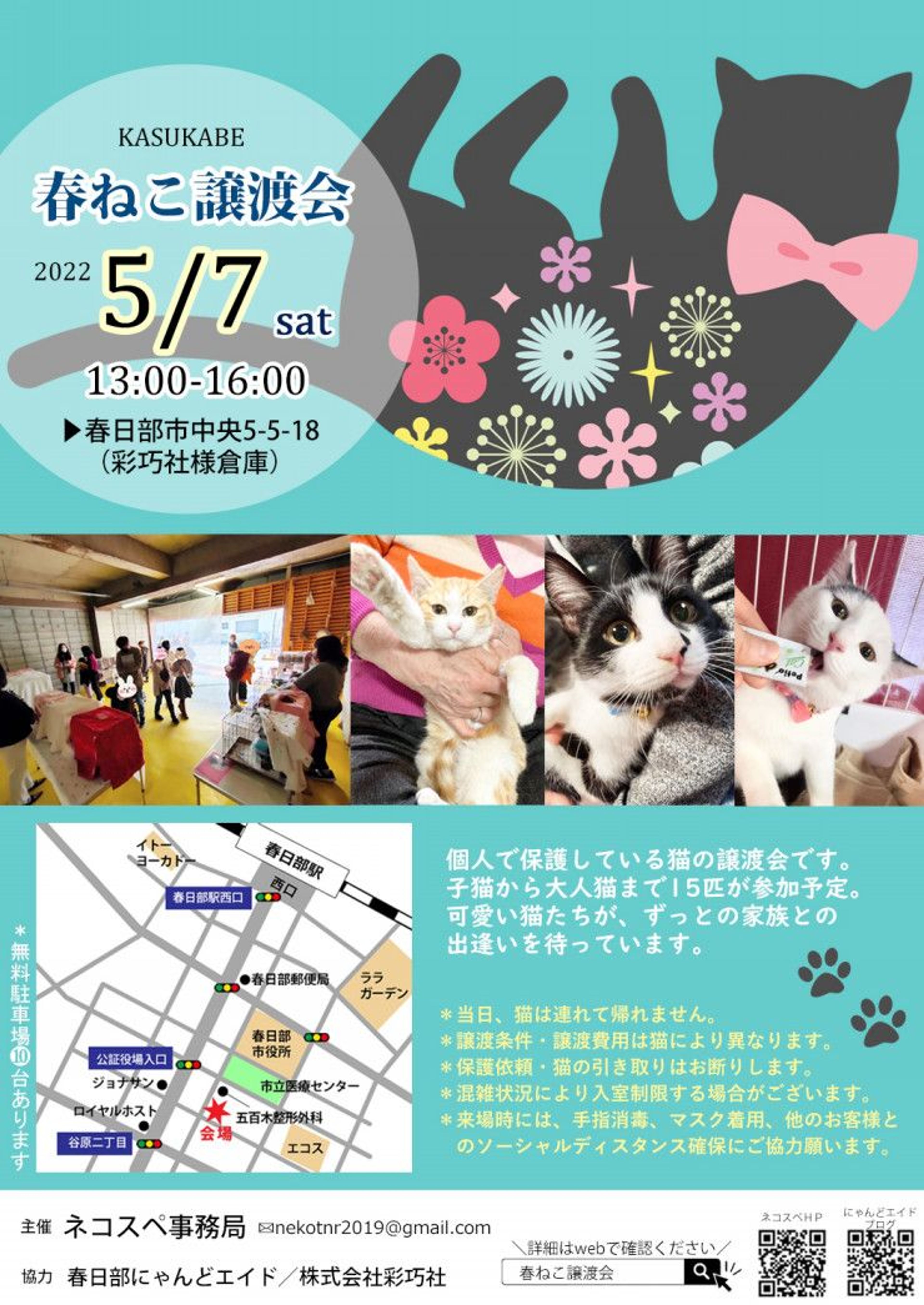 pet-image-4
