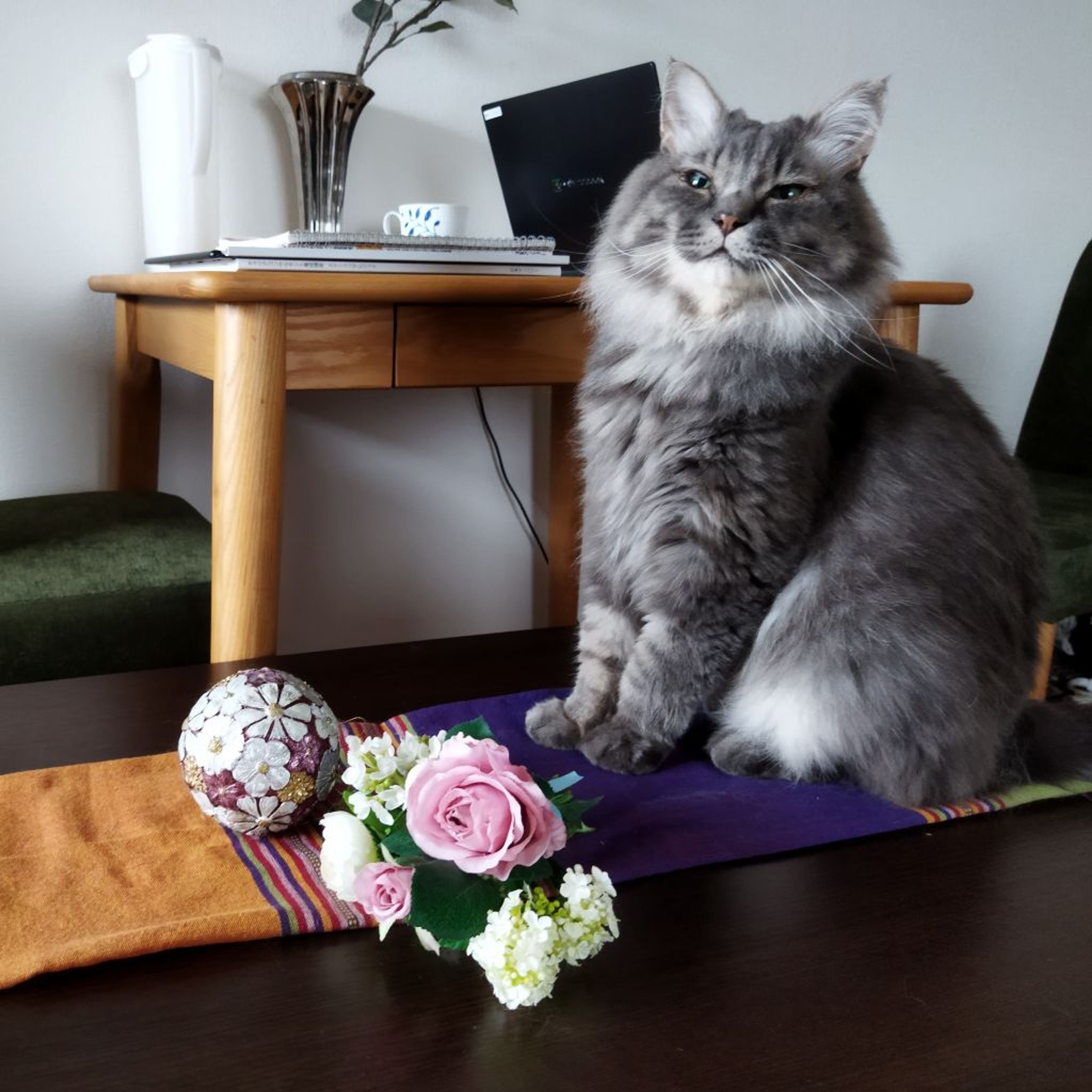 雑種（ミックス猫）・オスの里親募集の写真