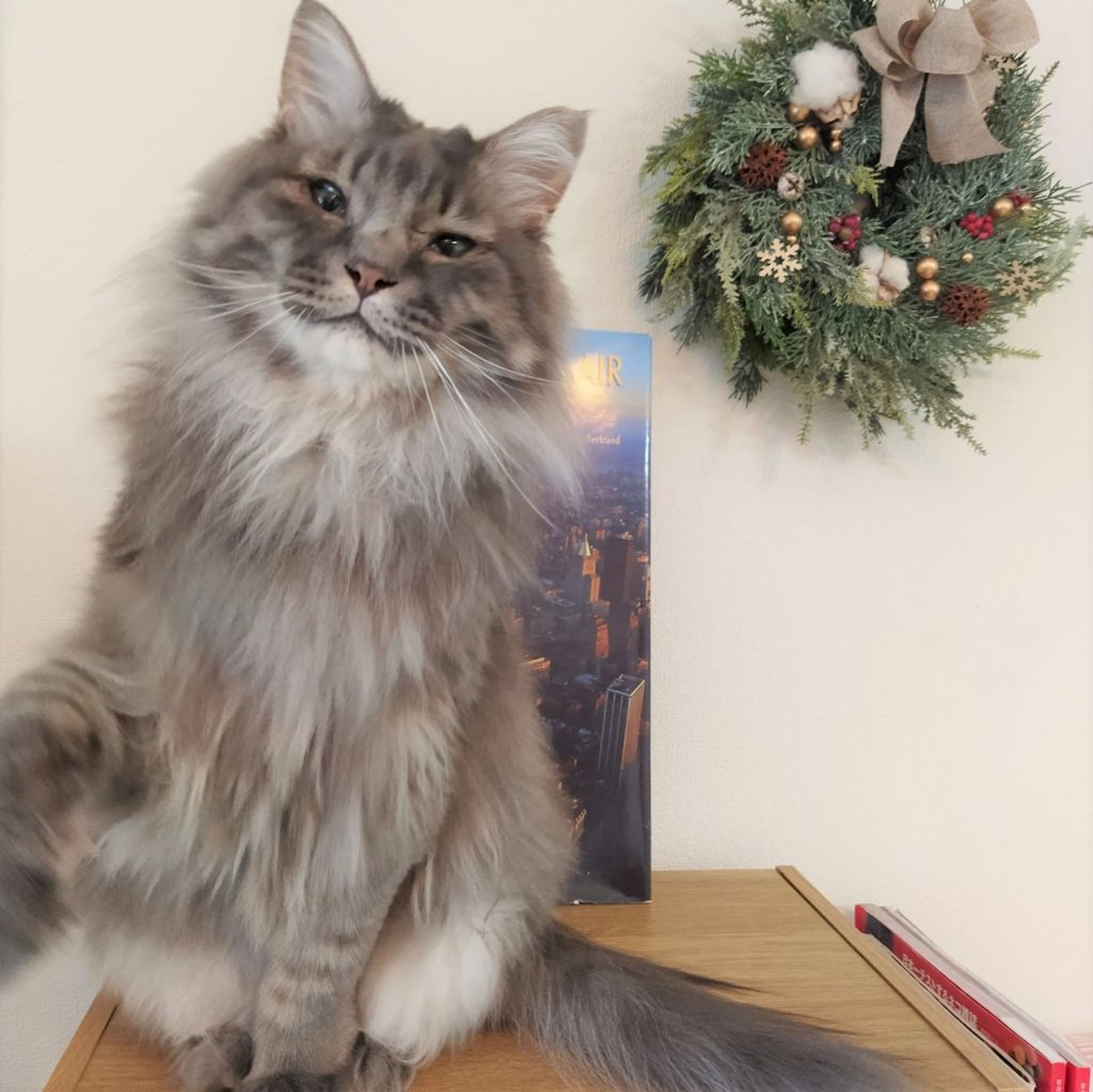 pet-image-2