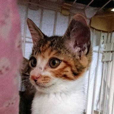 名無しちゃんの写真