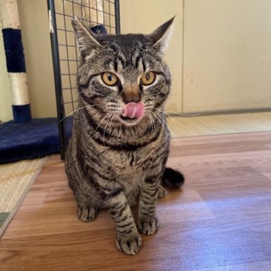 はまの写真