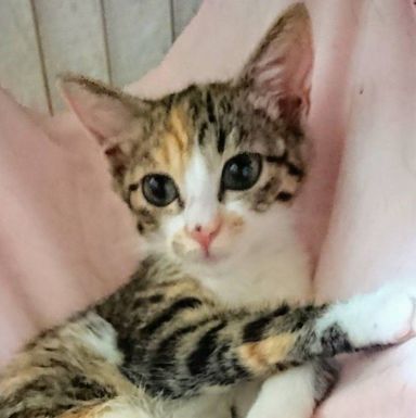 名無しちゃんの写真