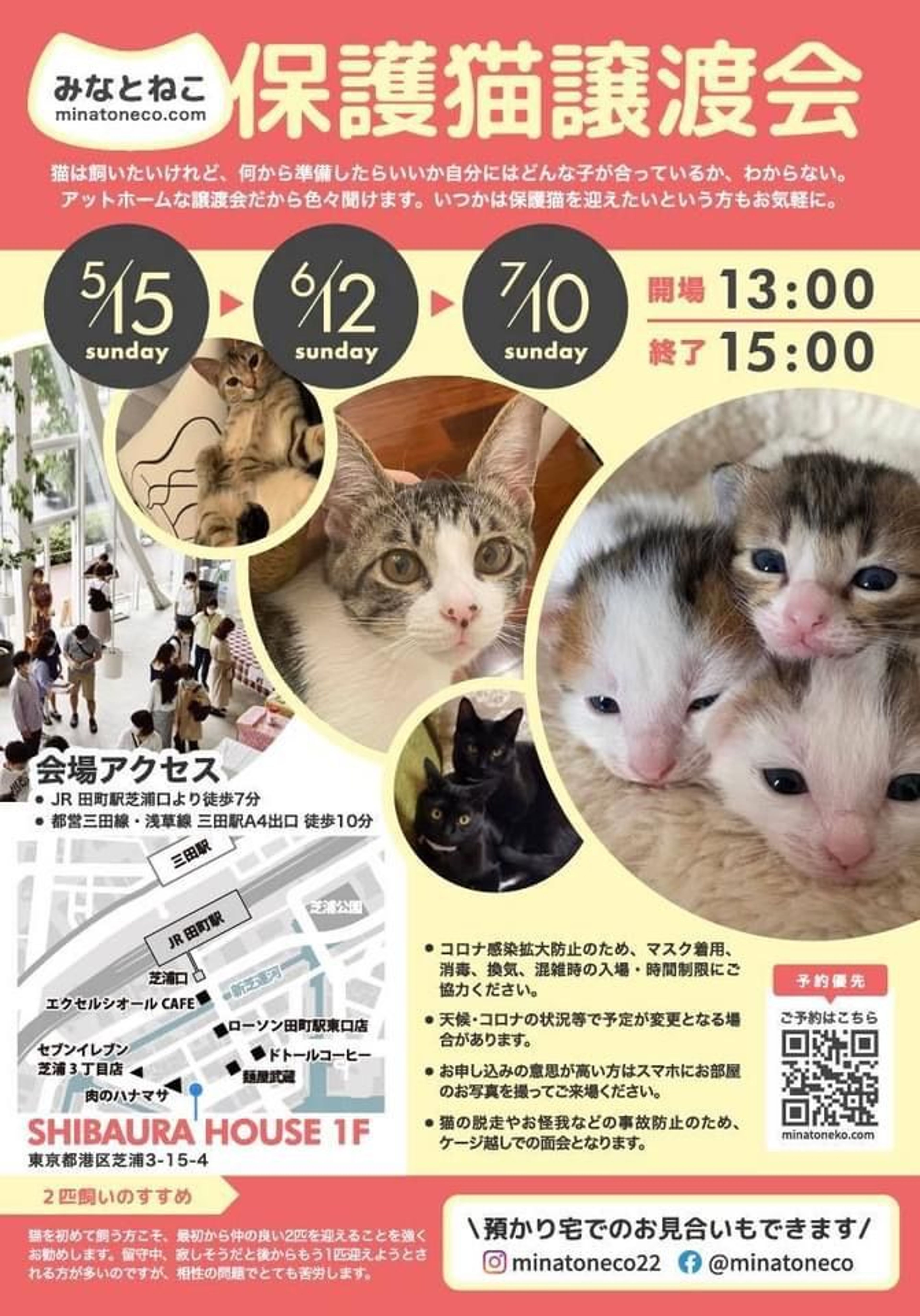 pet-image-10