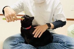 thumb-6