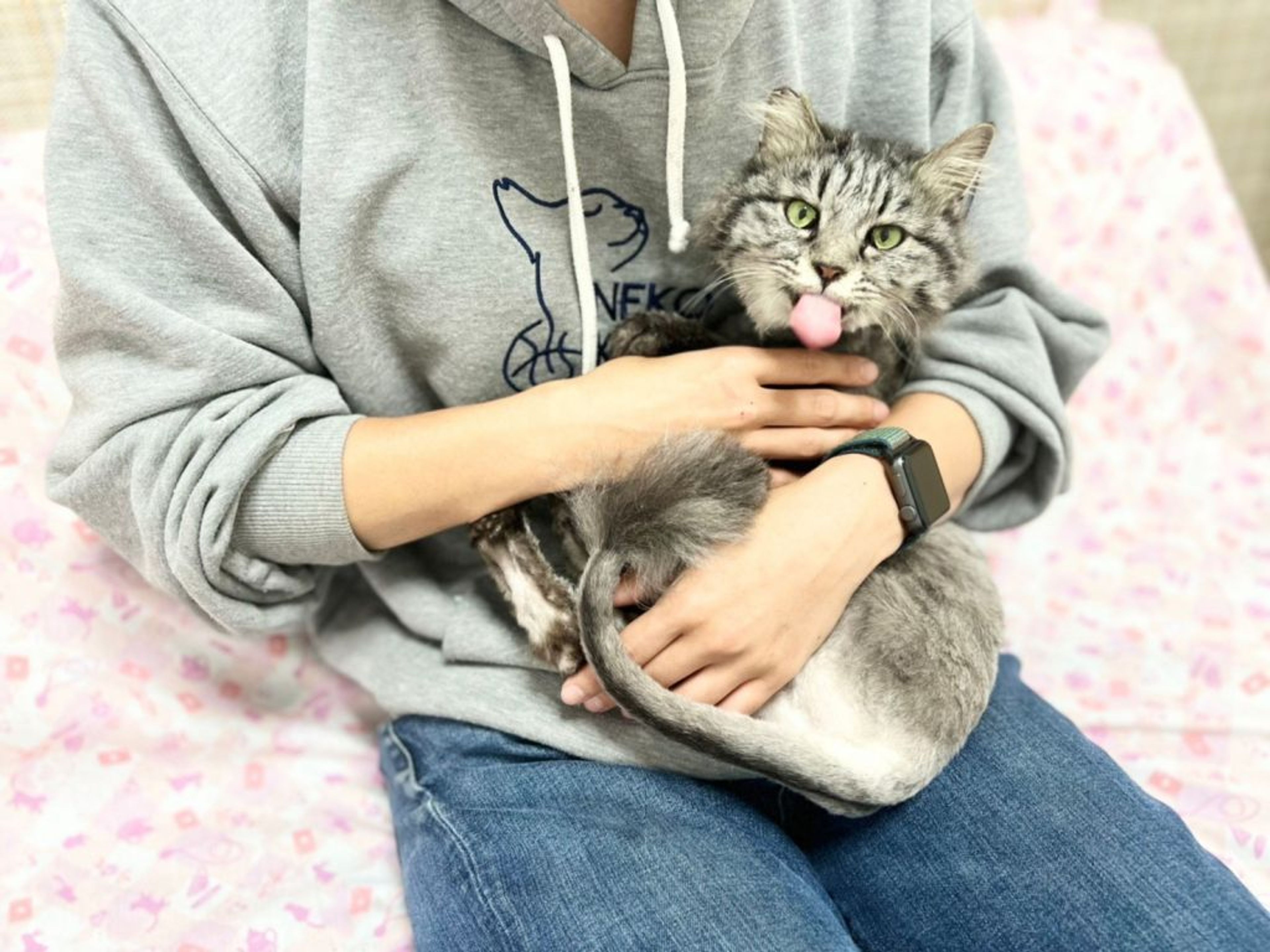 pet-image-2