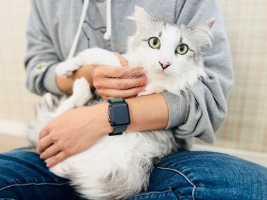 ふわまるの写真