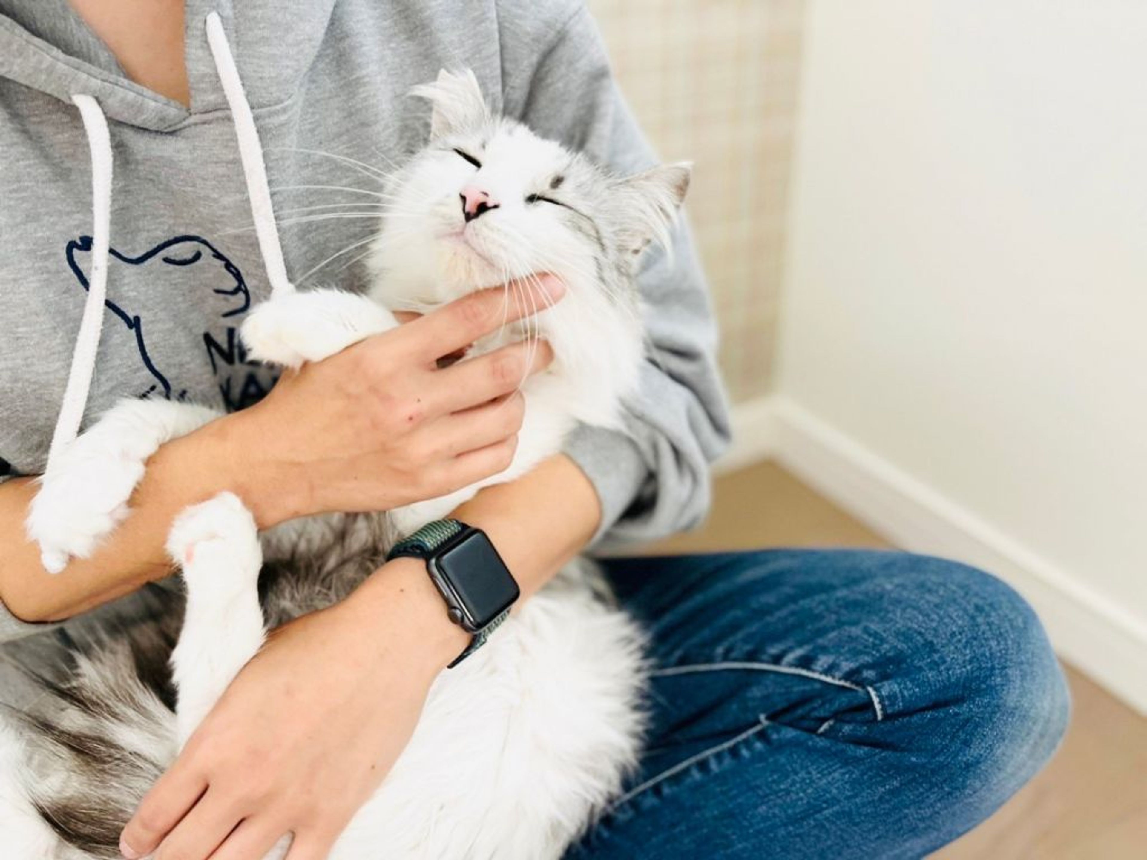 pet-image-5