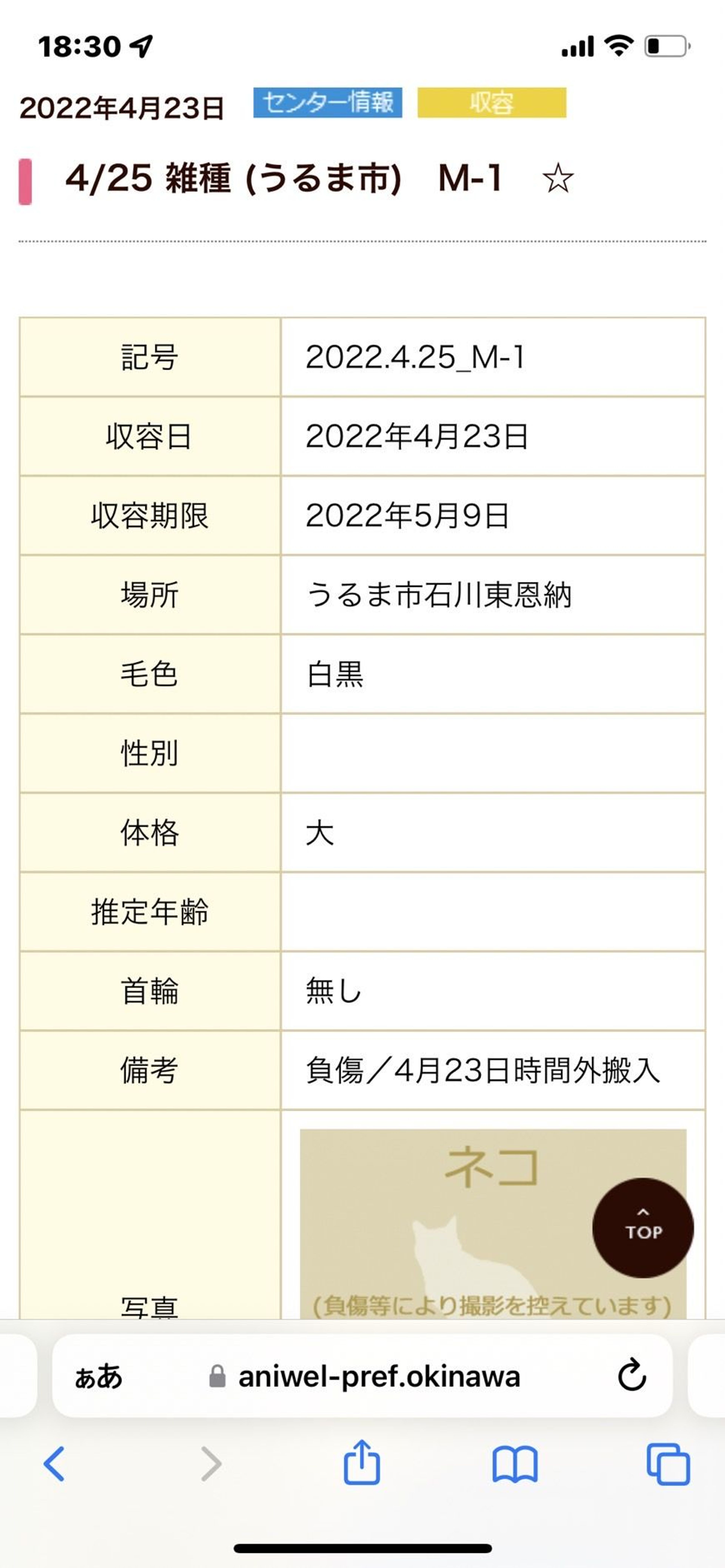 pet-image-3
