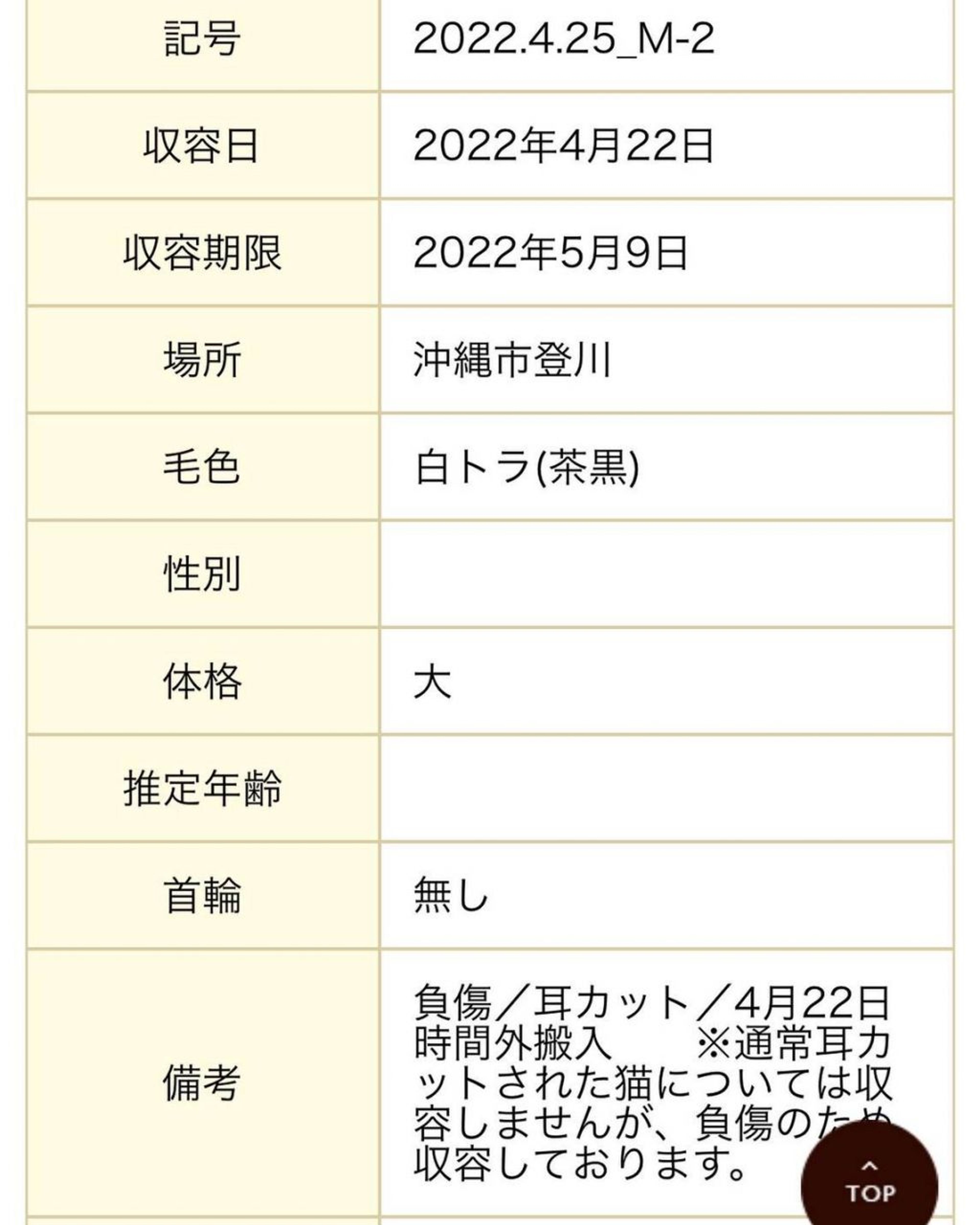 pet-image-8