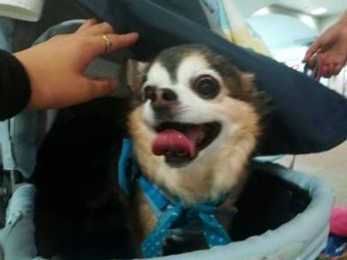 名無しちゃんの写真