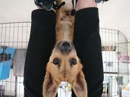 thumb-1