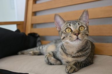 キキの写真