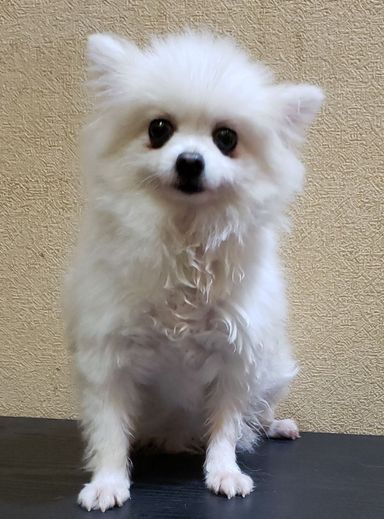 ツムリー
