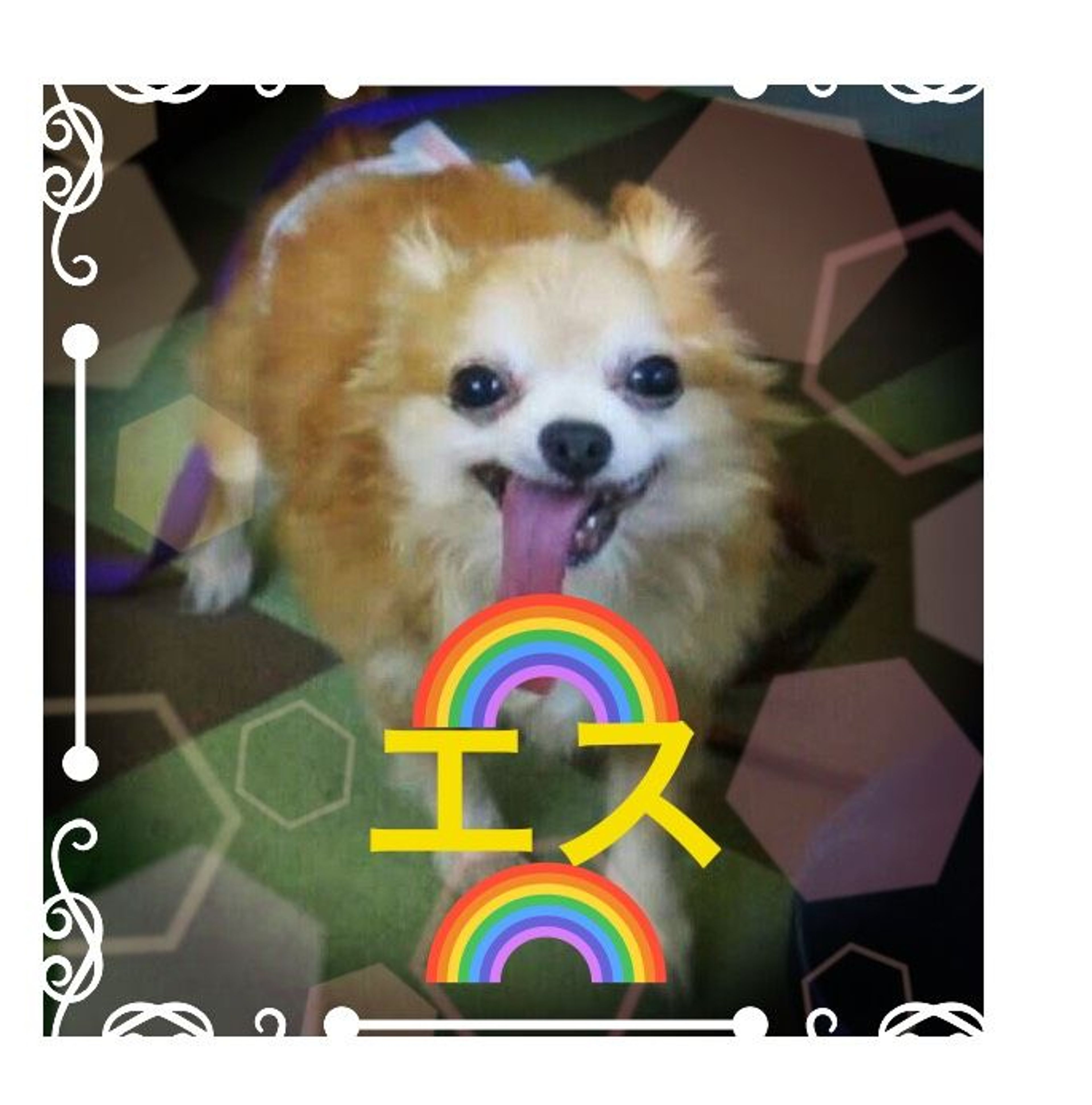 image-2