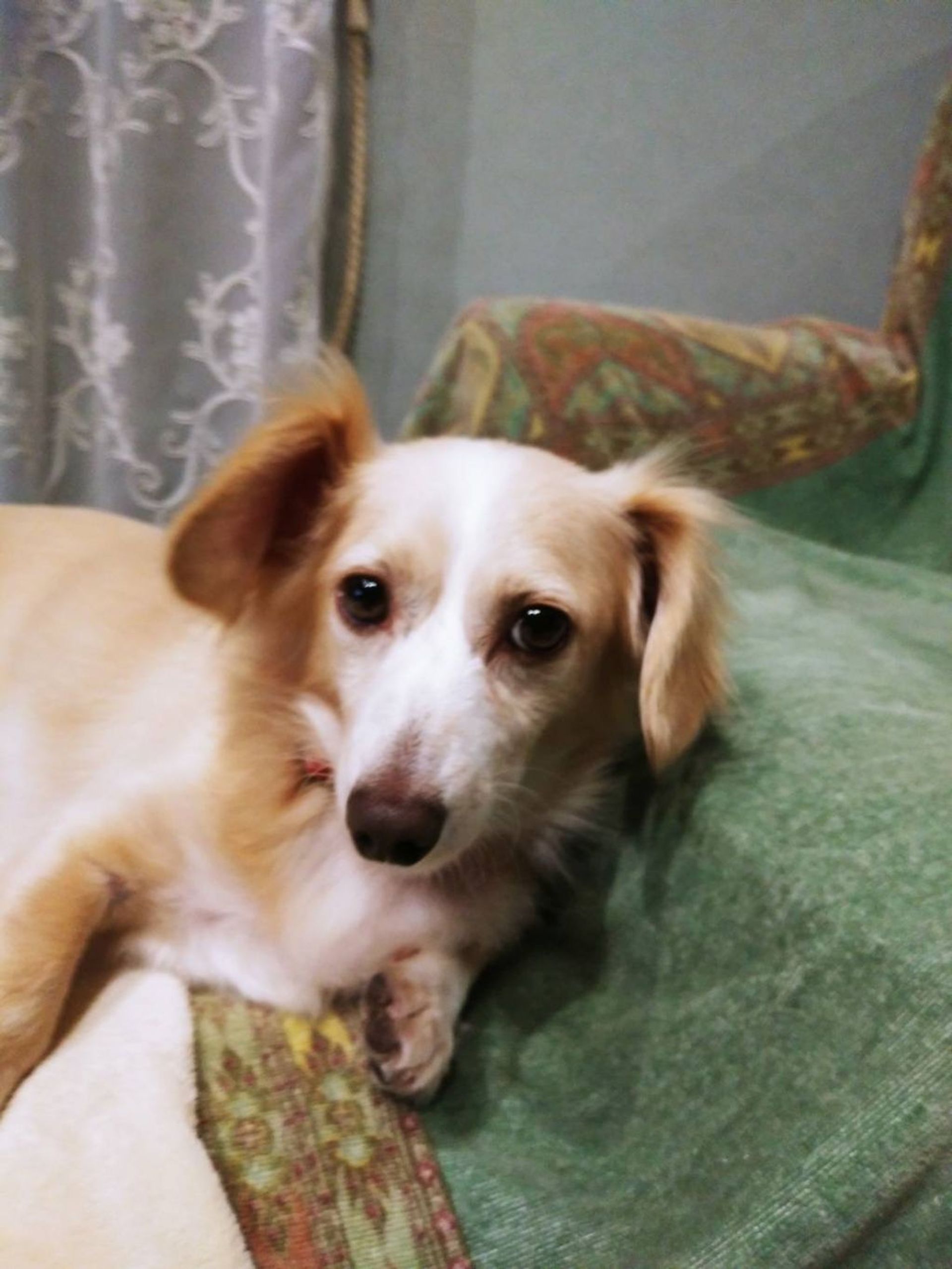 thumbnail-5
