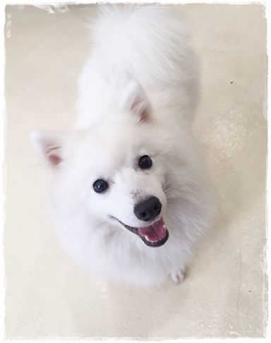 名無しちゃんの写真