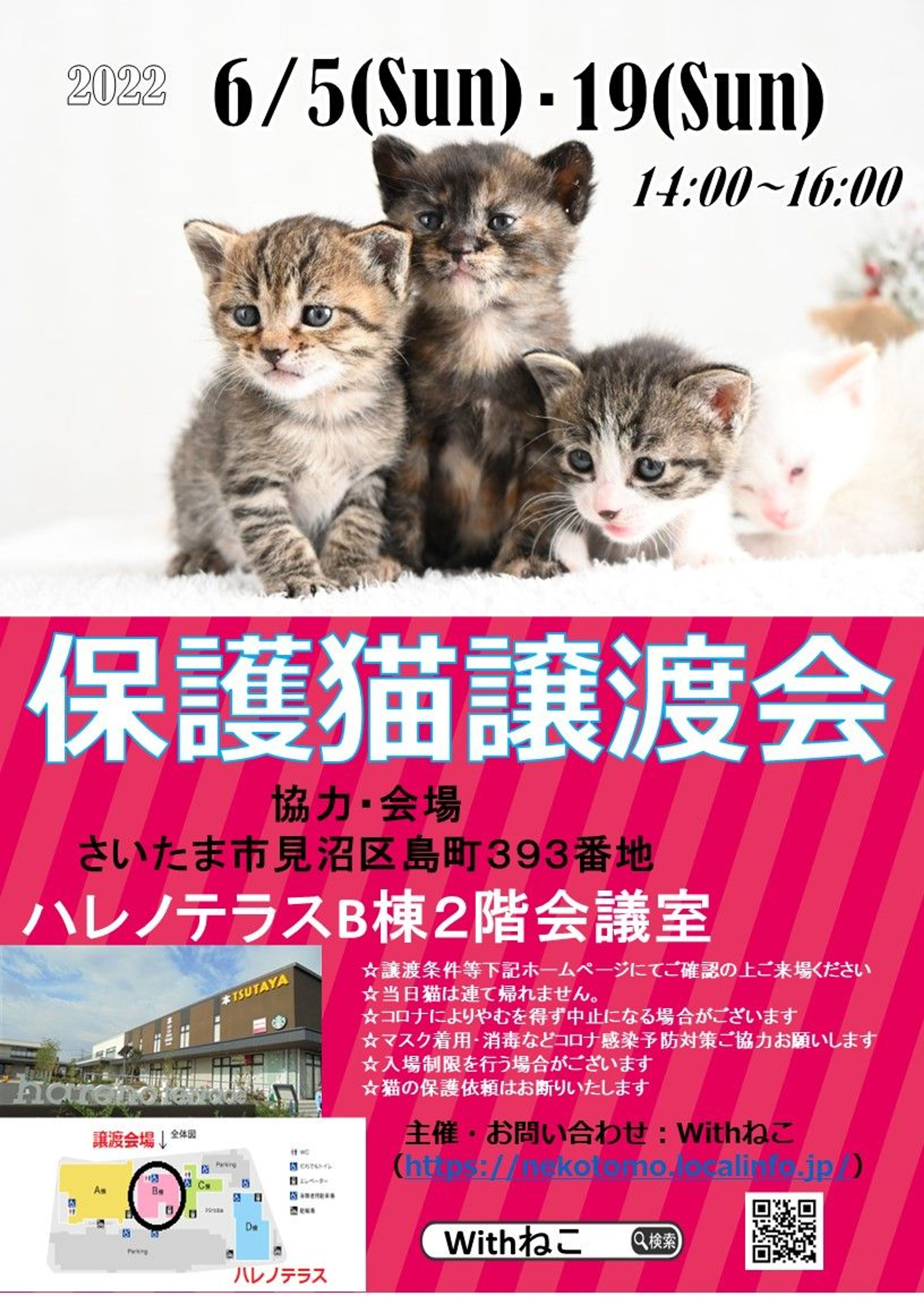 pet-image-6